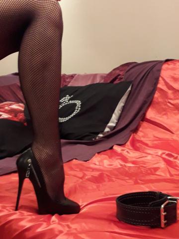 Стелла фото 2